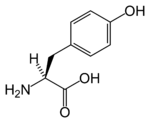 L-tyrosine-skeletal.png