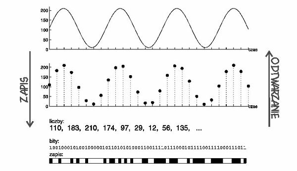 digitalizacja sygnału analogowego